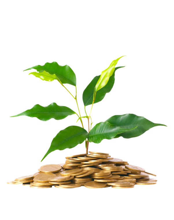 Home | One Step for All Loans